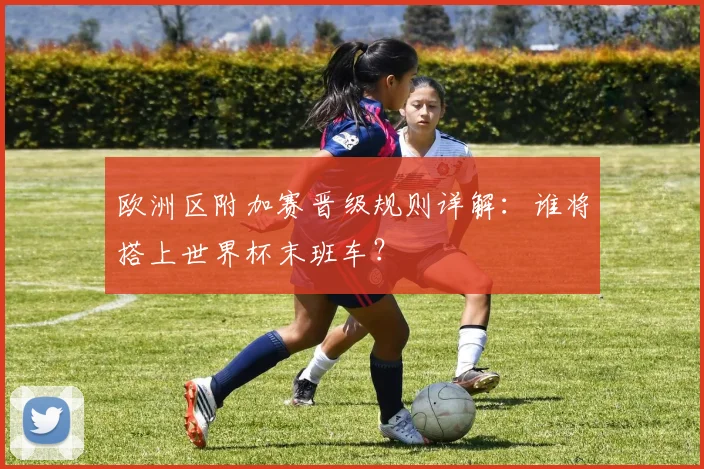 欧洲区附加赛晋级规则详解：谁将搭上世界杯末班车？