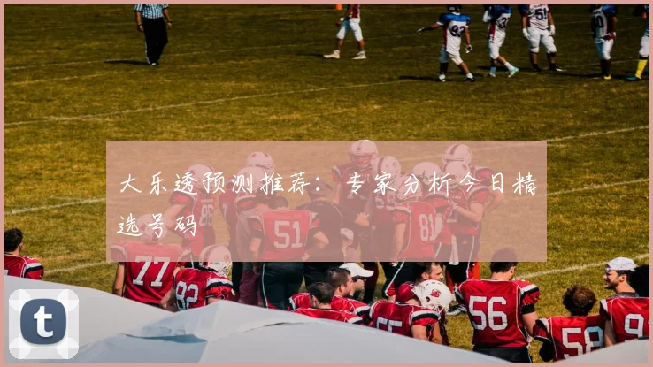大乐透预测推荐：专家分析今日精选号码