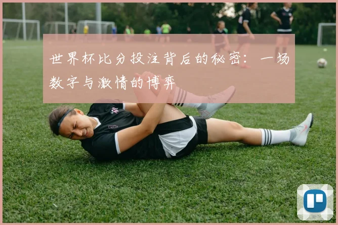 世界杯比分投注背后的秘密：一场数字与激情的博弈