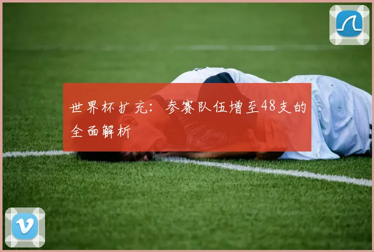 世界杯扩充：参赛队伍增至48支的全面解析