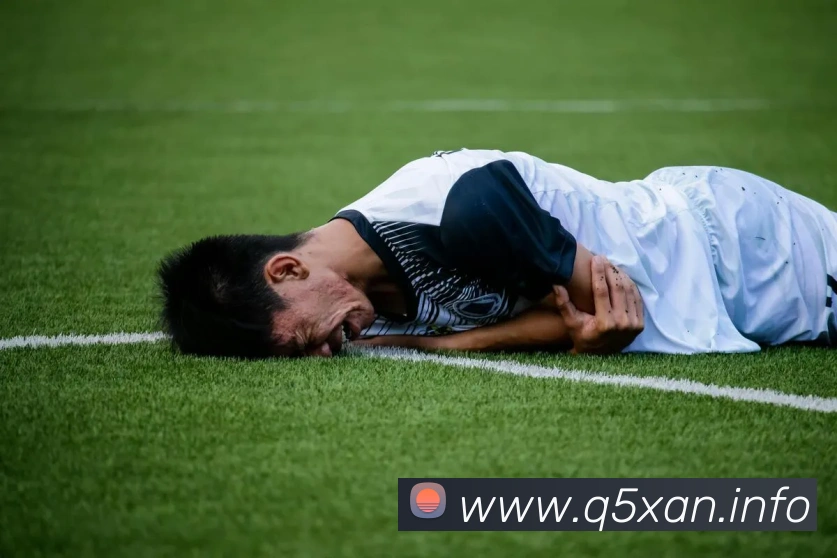 华体官网登录入口手机版服务体系